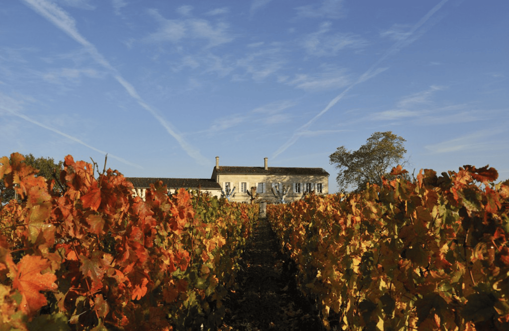 Château l'Eglise-Clinet