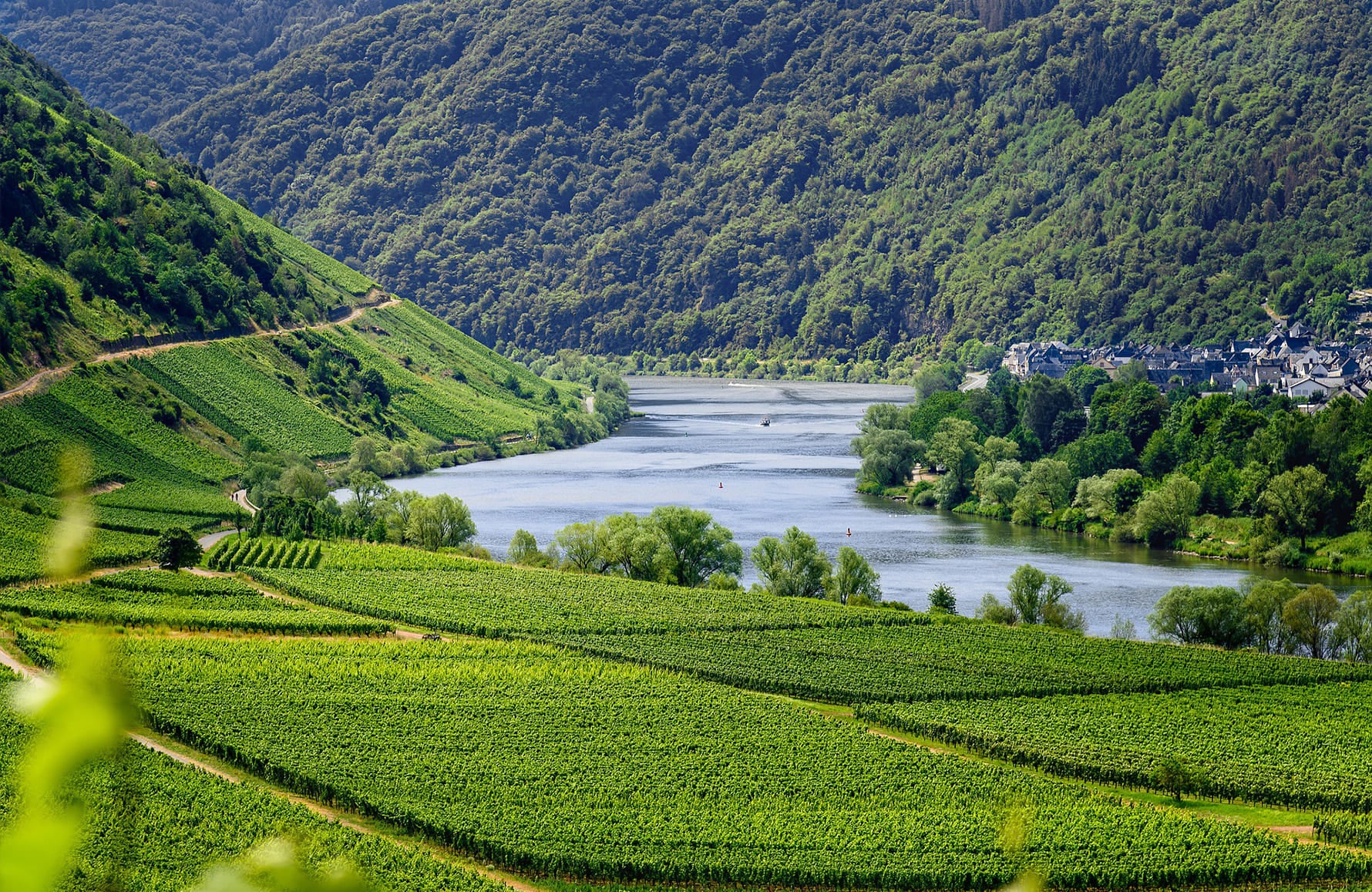 the story of Domaine Vaïsse