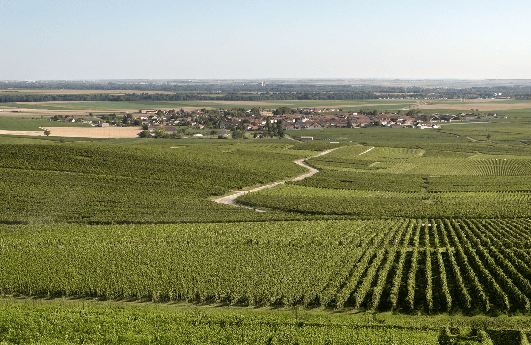 de geschiedenis van Champagne Charles Heidsieck