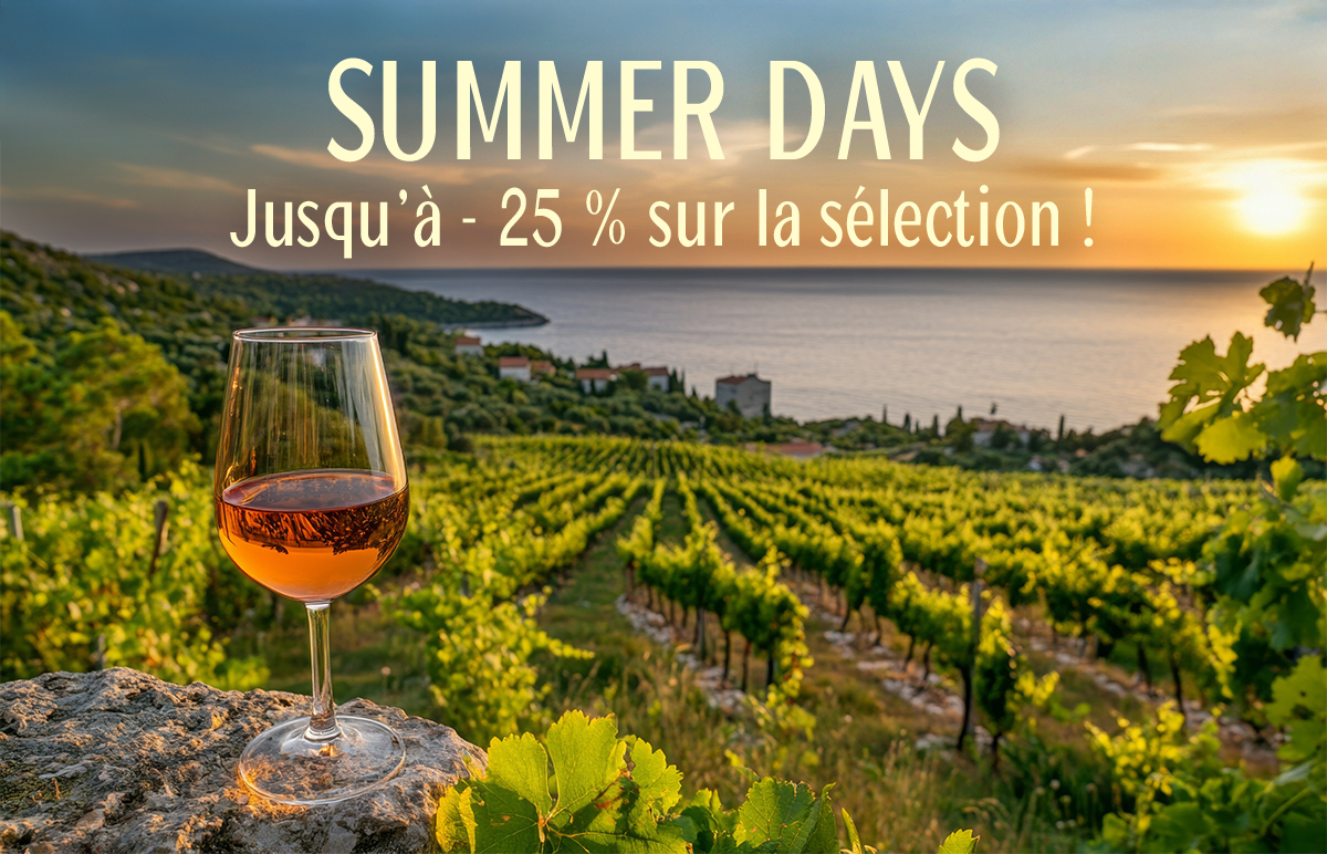 the story of ZOMERDAGEN