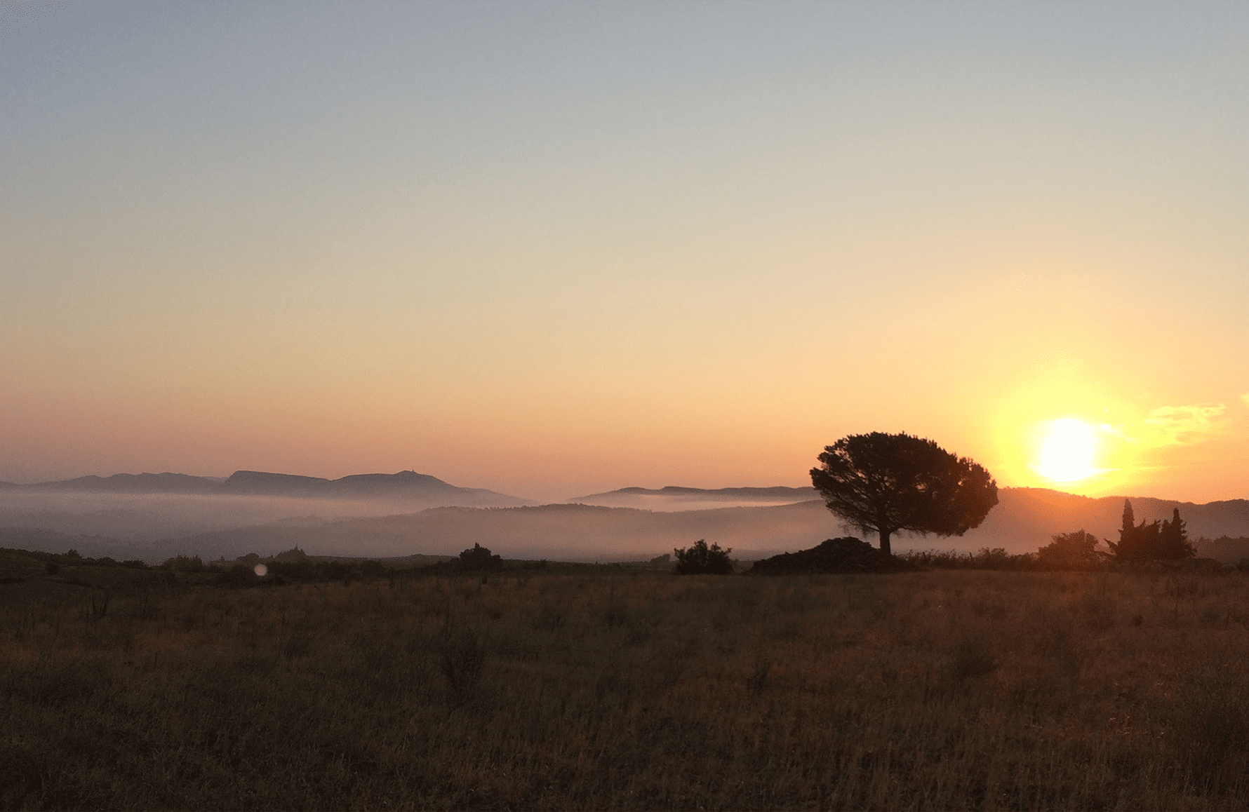 Domaine Le Roc Des Anges