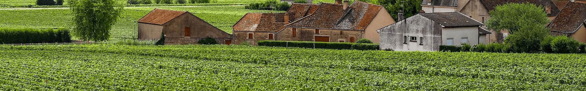 Domaine De Villaine