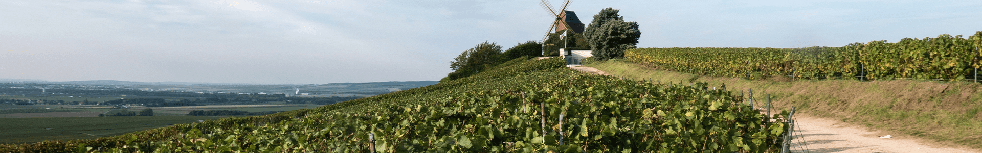 Dom Pérignon