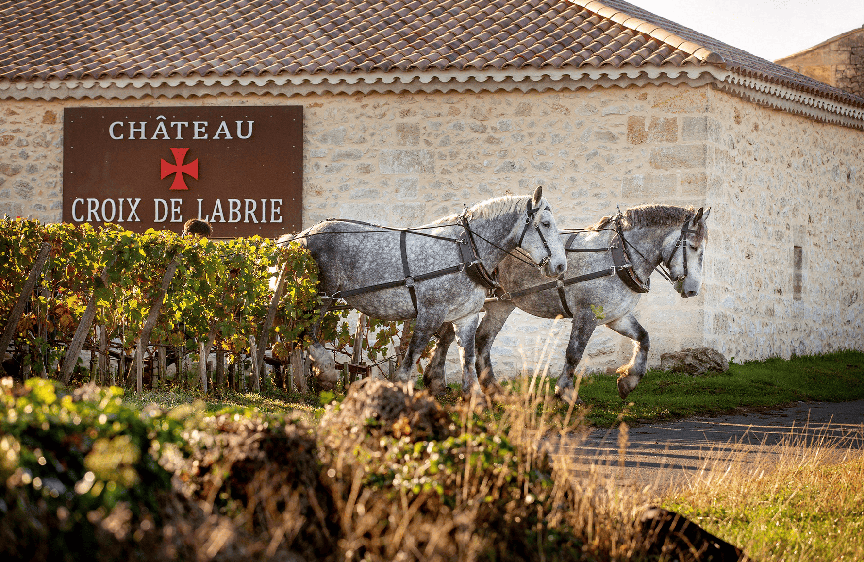 Château Croix de Labrie