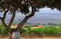 Hahn Family Wines - Etats-Unis