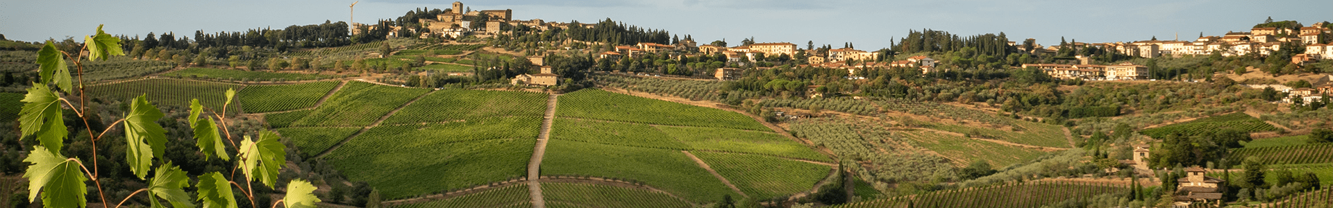 Bruno Giacosa - Italie