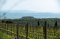 Poggio Antico - Italië