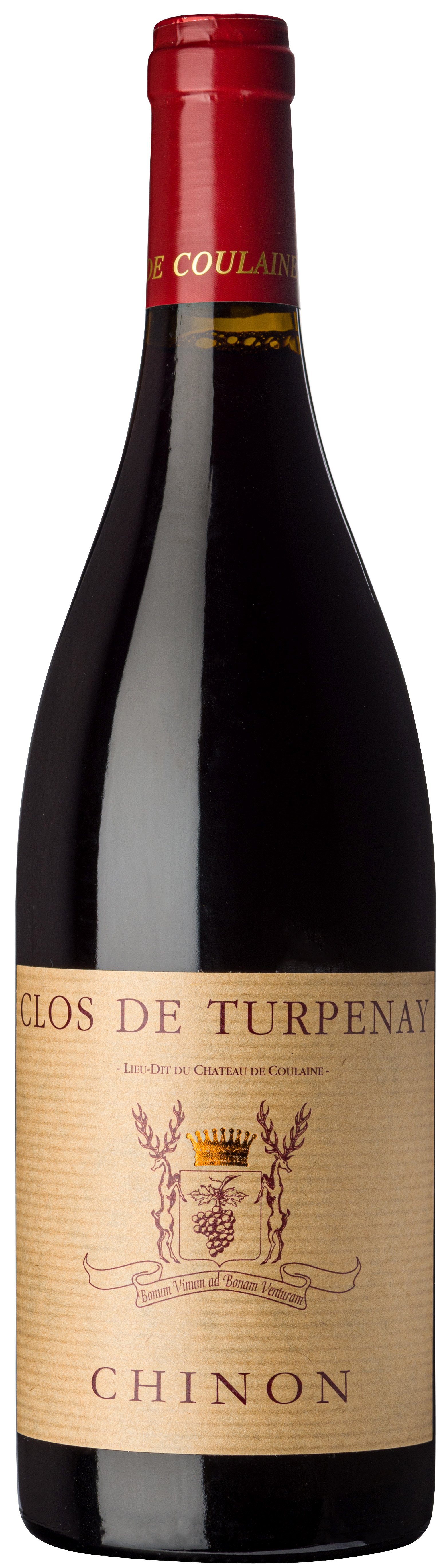 Château de Coulaine - Chinon Clos de Turpenay 2020
