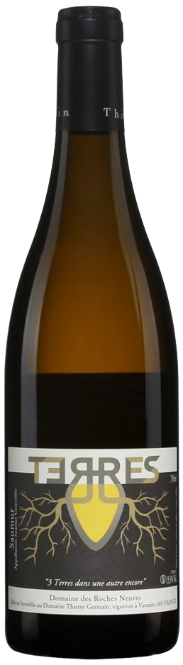 Domaine des Roches Neuves - Saumur vin orange Terres 2013