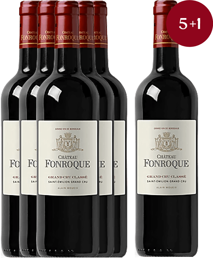 Magnum Château Fonroque 2022 = 5+1