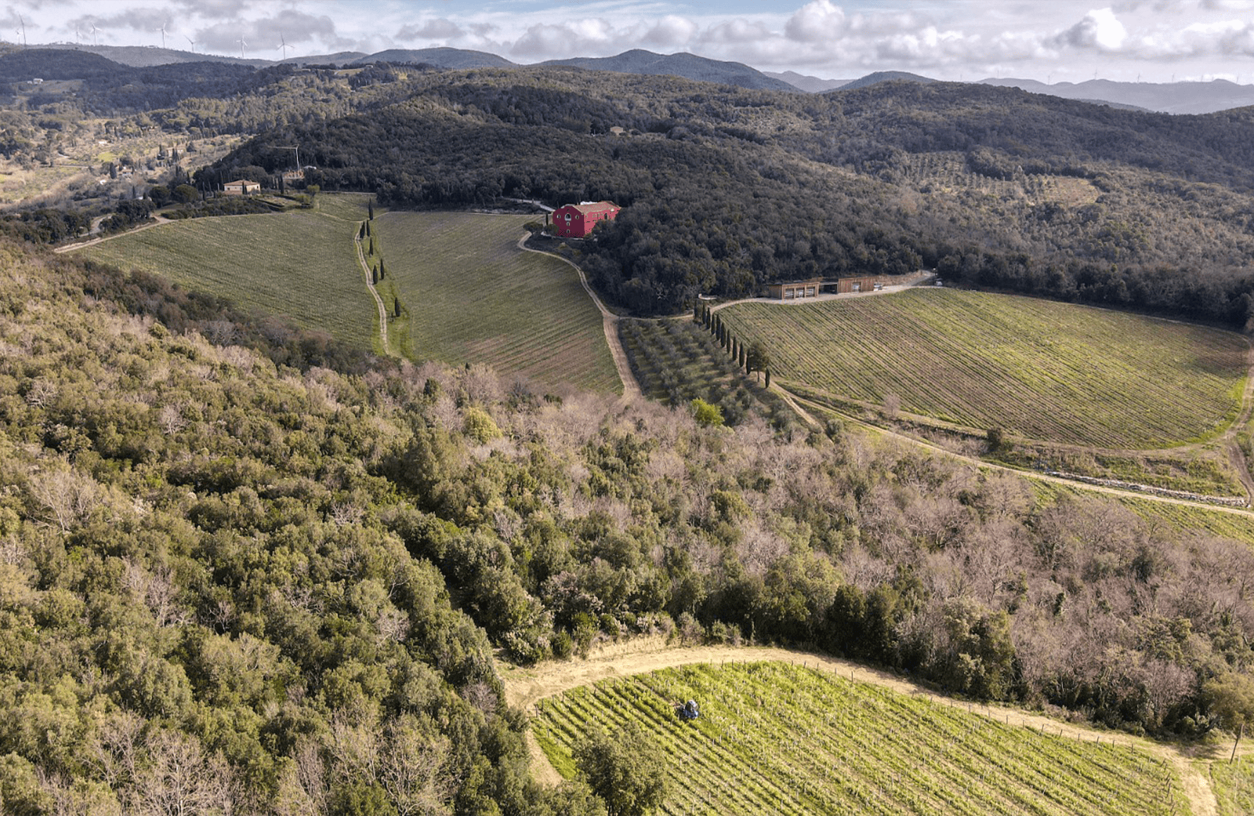 Wijnen Caiarossa - Italië