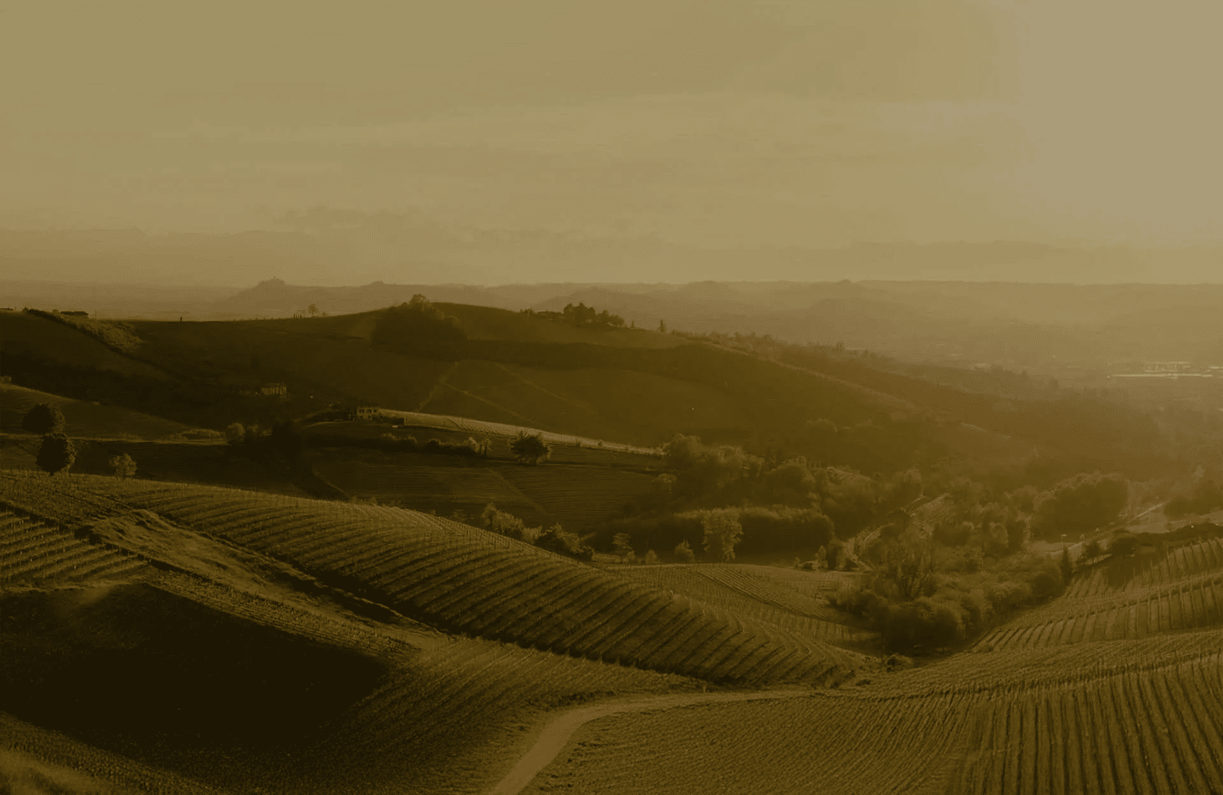 de geschiedenis van Cascina delle Rose - Italië