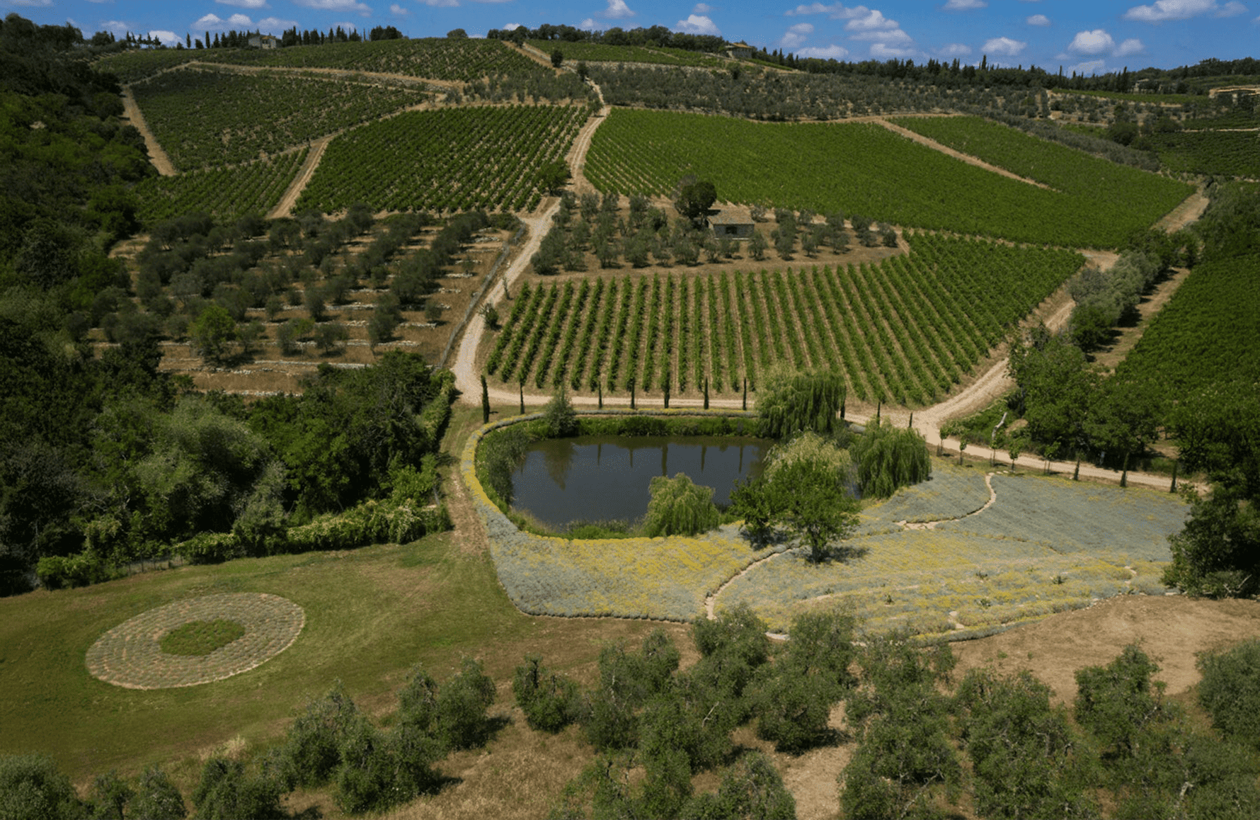 l’histoire du Castello Di Ama - Italie