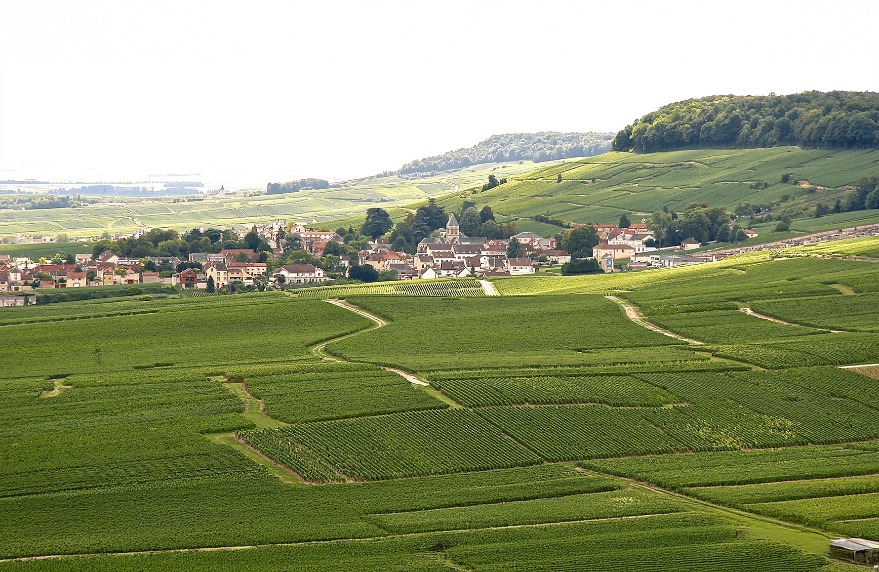 Wijnen Champagne De Sousa