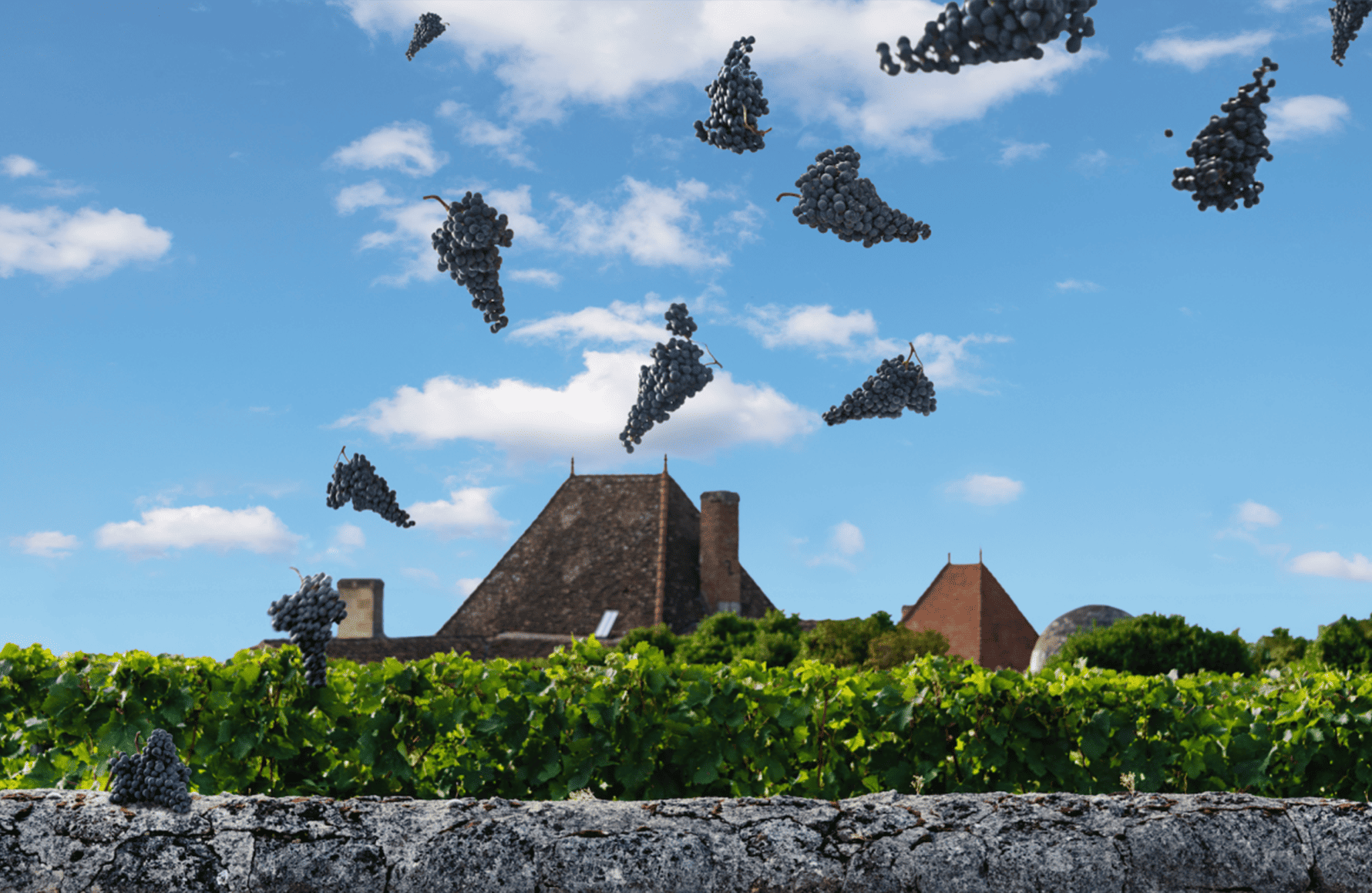 Wijnen Château Bélair-Monange