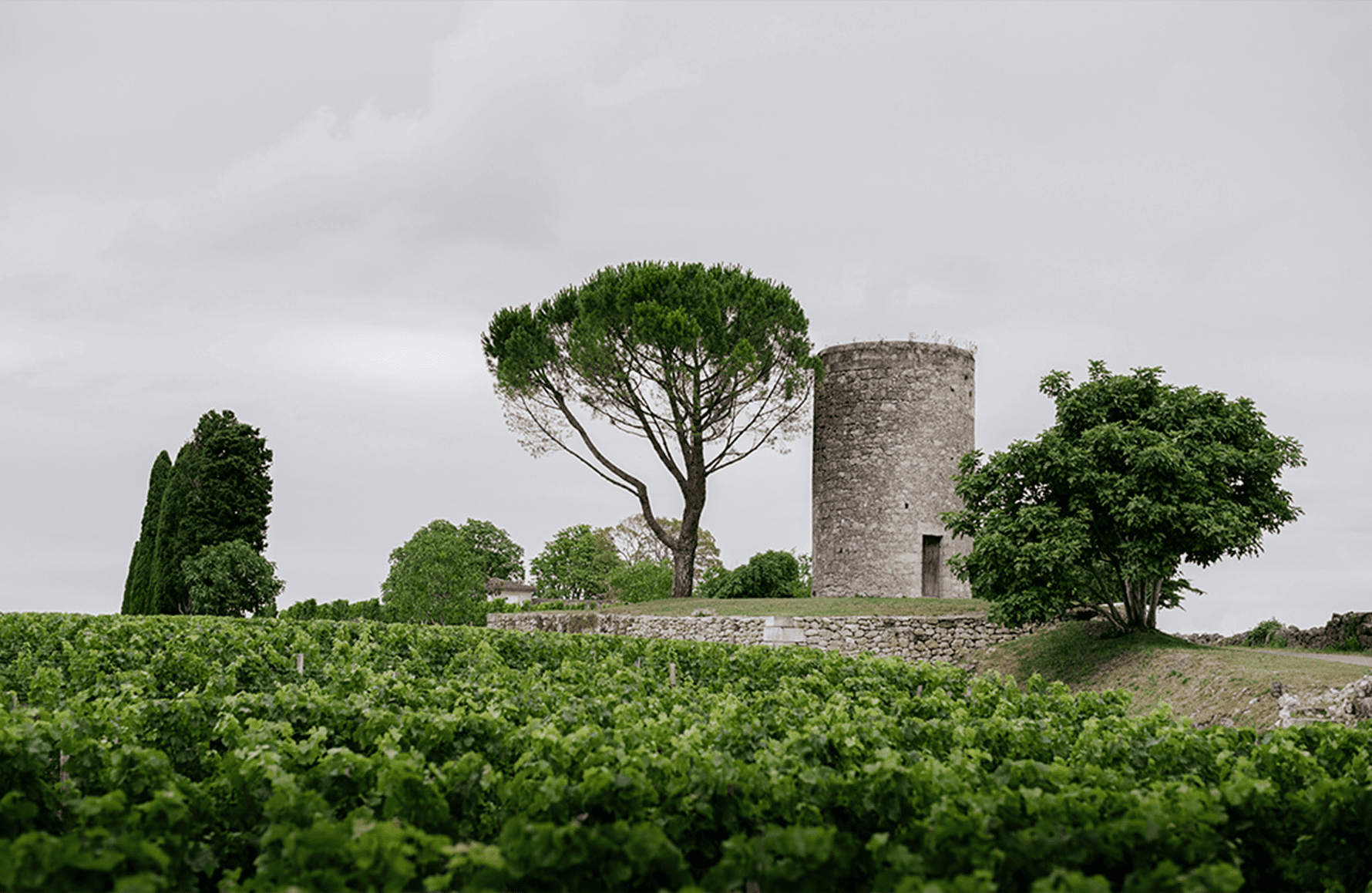 Vins Château Berliquet