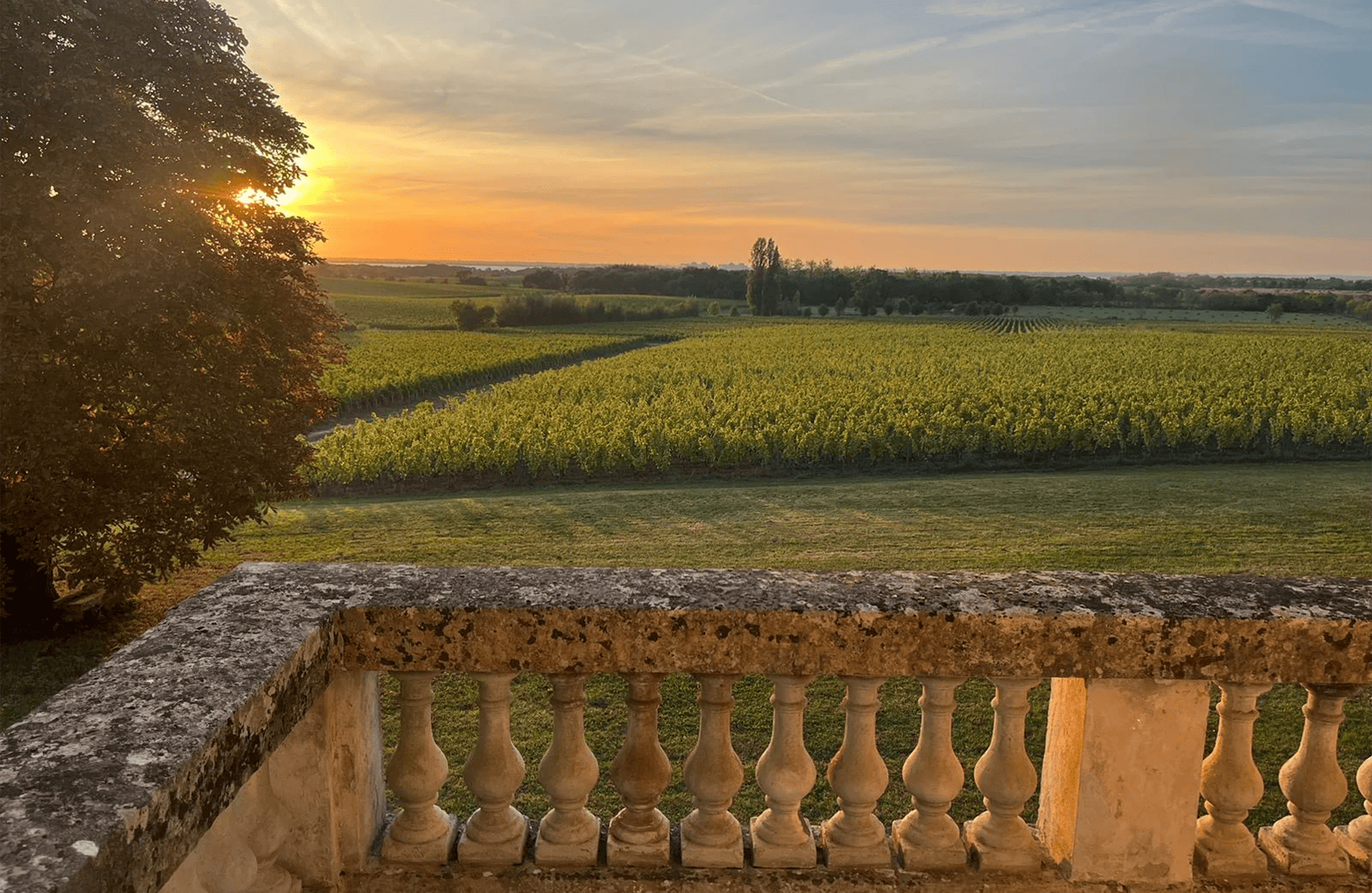 Wijnen Château Charmail