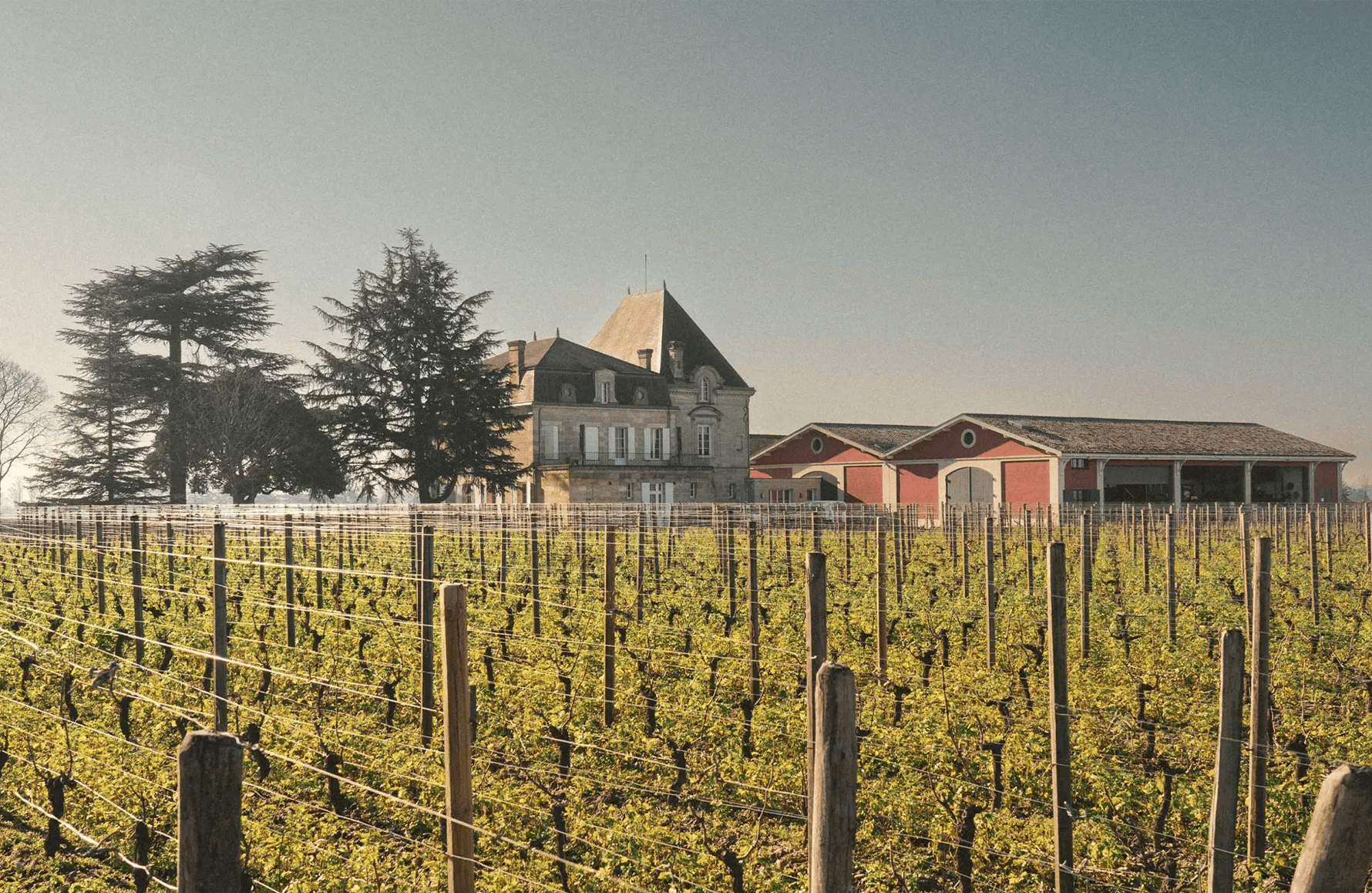 Wijnen Château L'Evangile