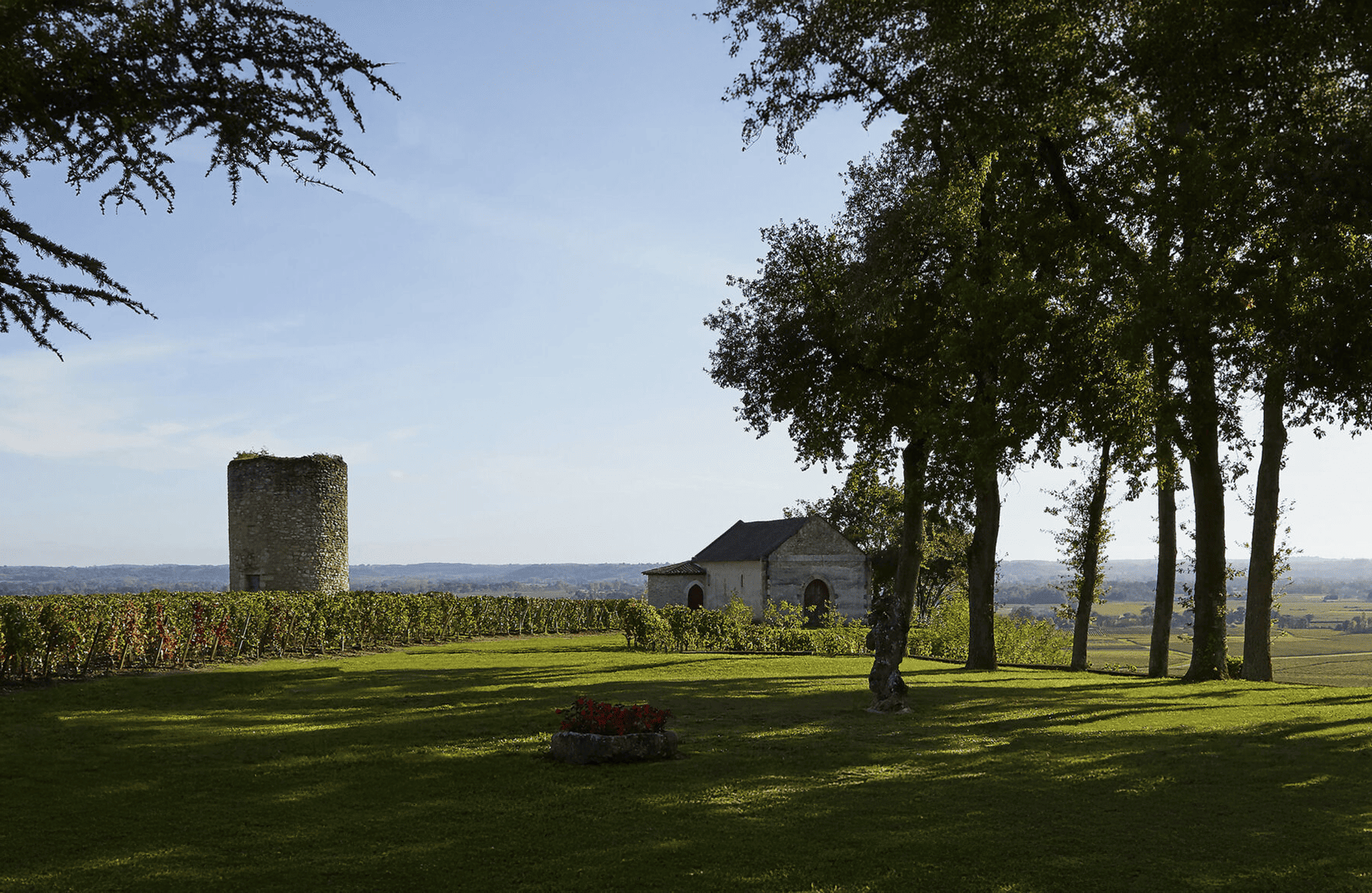 Wijnen Château De Pressac