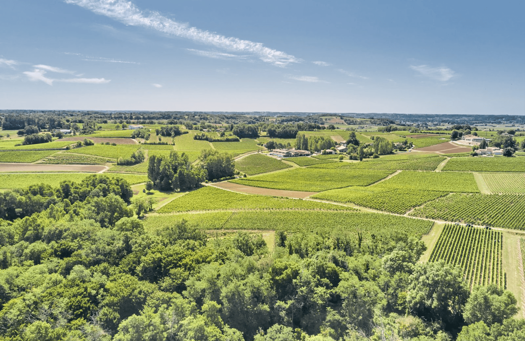 Wijnen Château Fleur Cardinale