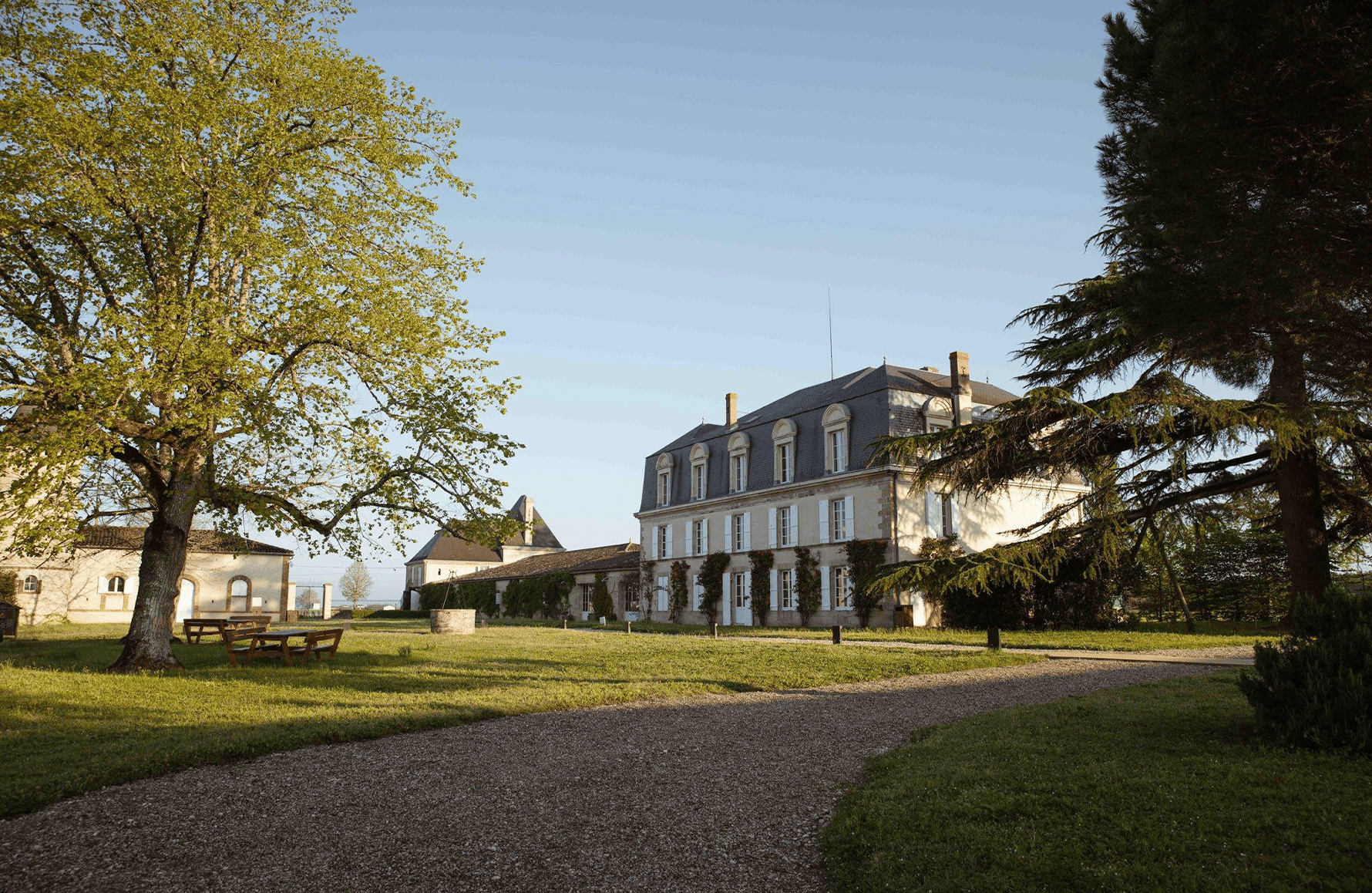 Wijnen Château Guiraud