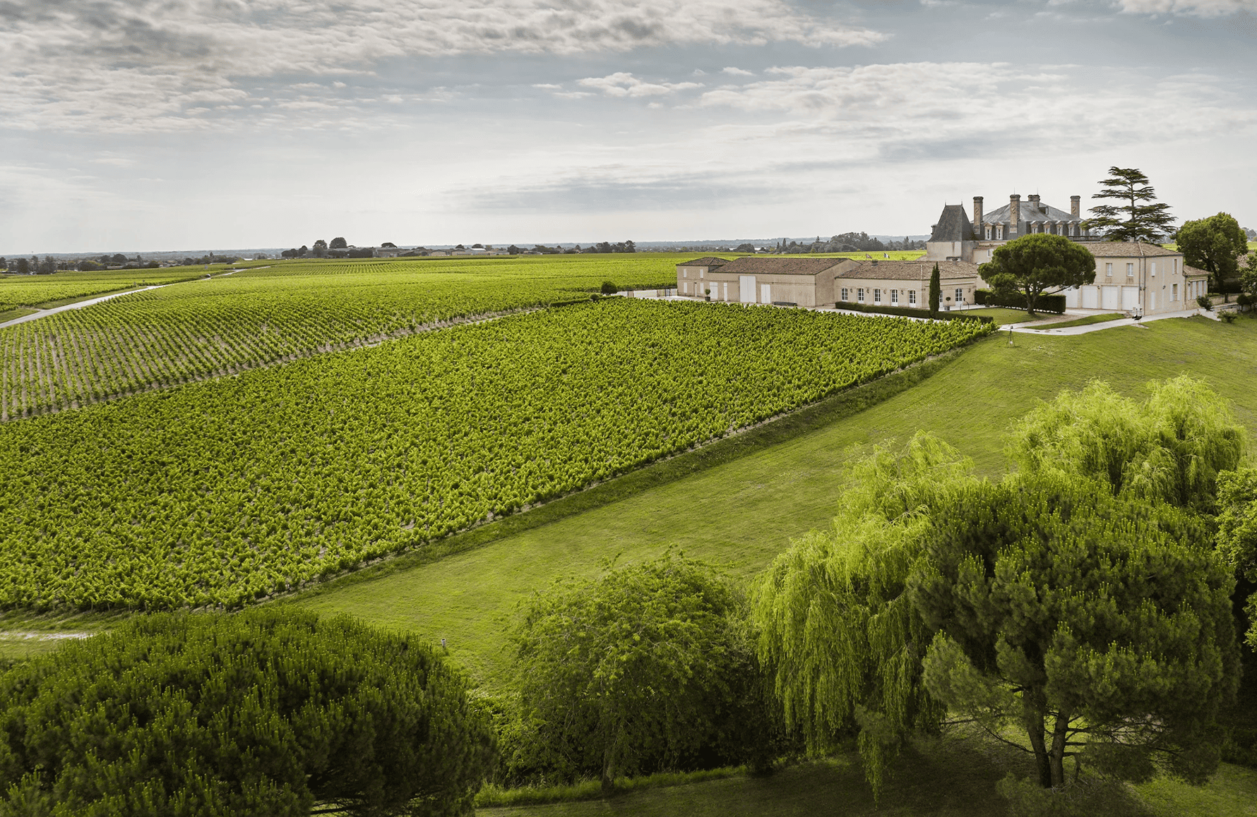 Wijnen Château Grand-Puy-Lacoste