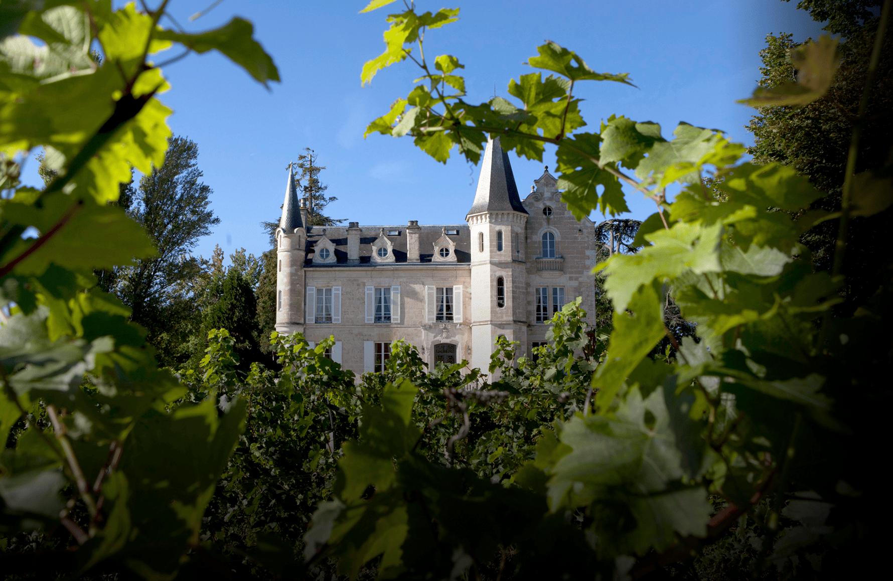 the story of Château Haut-Bergey