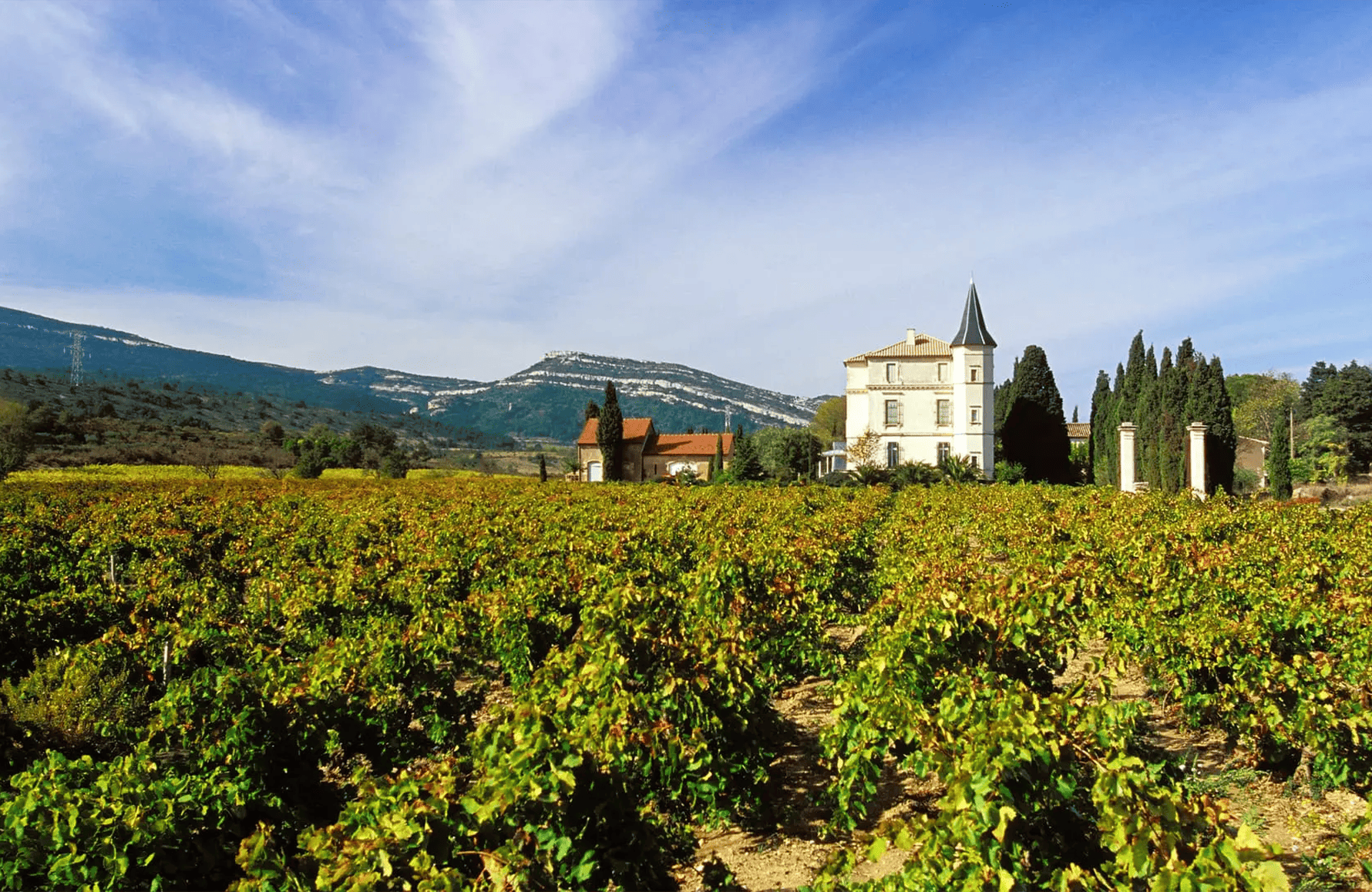 de geschiedenis van La Baronne