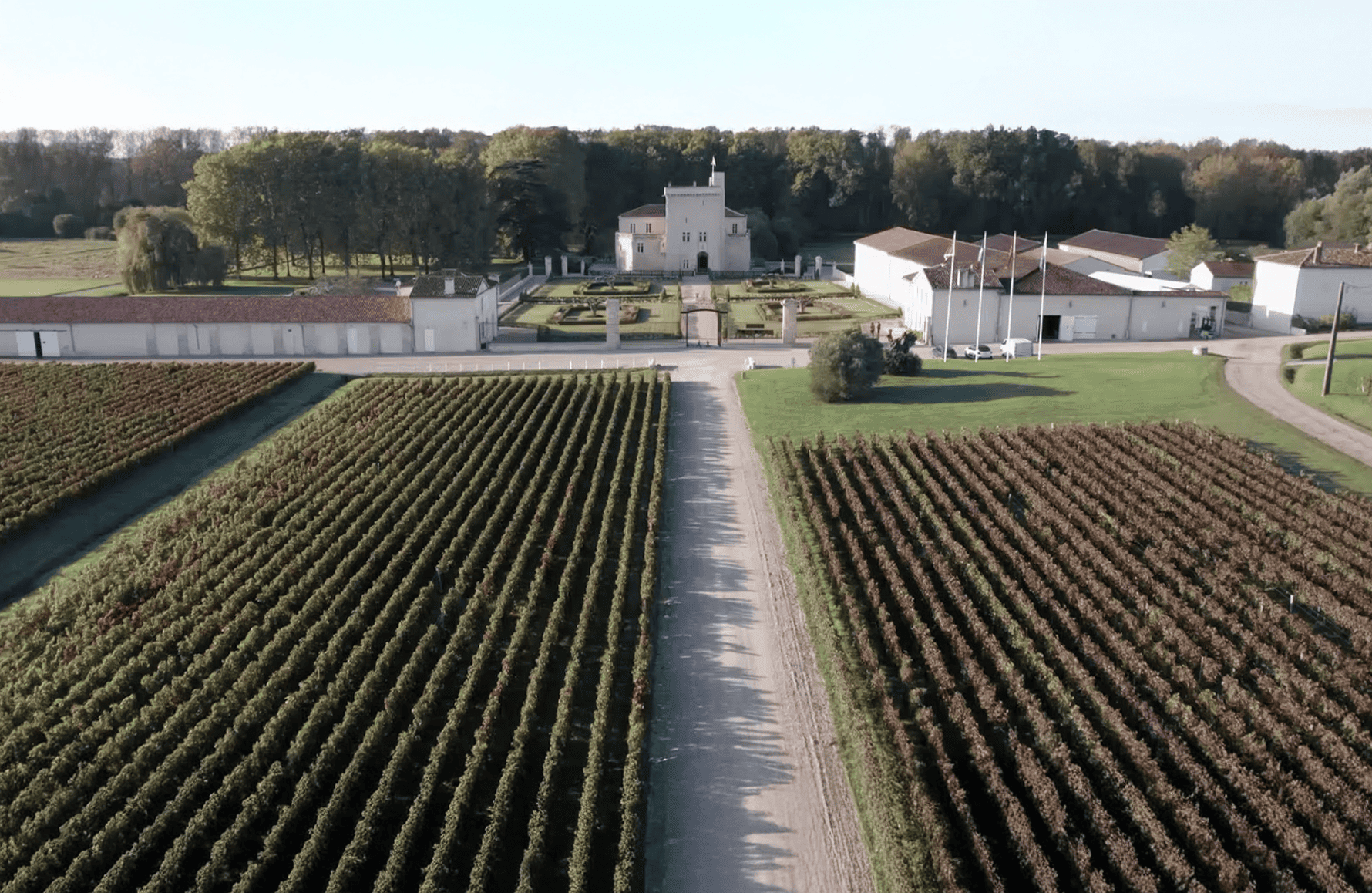 Wijnen Château La Tour Carnet