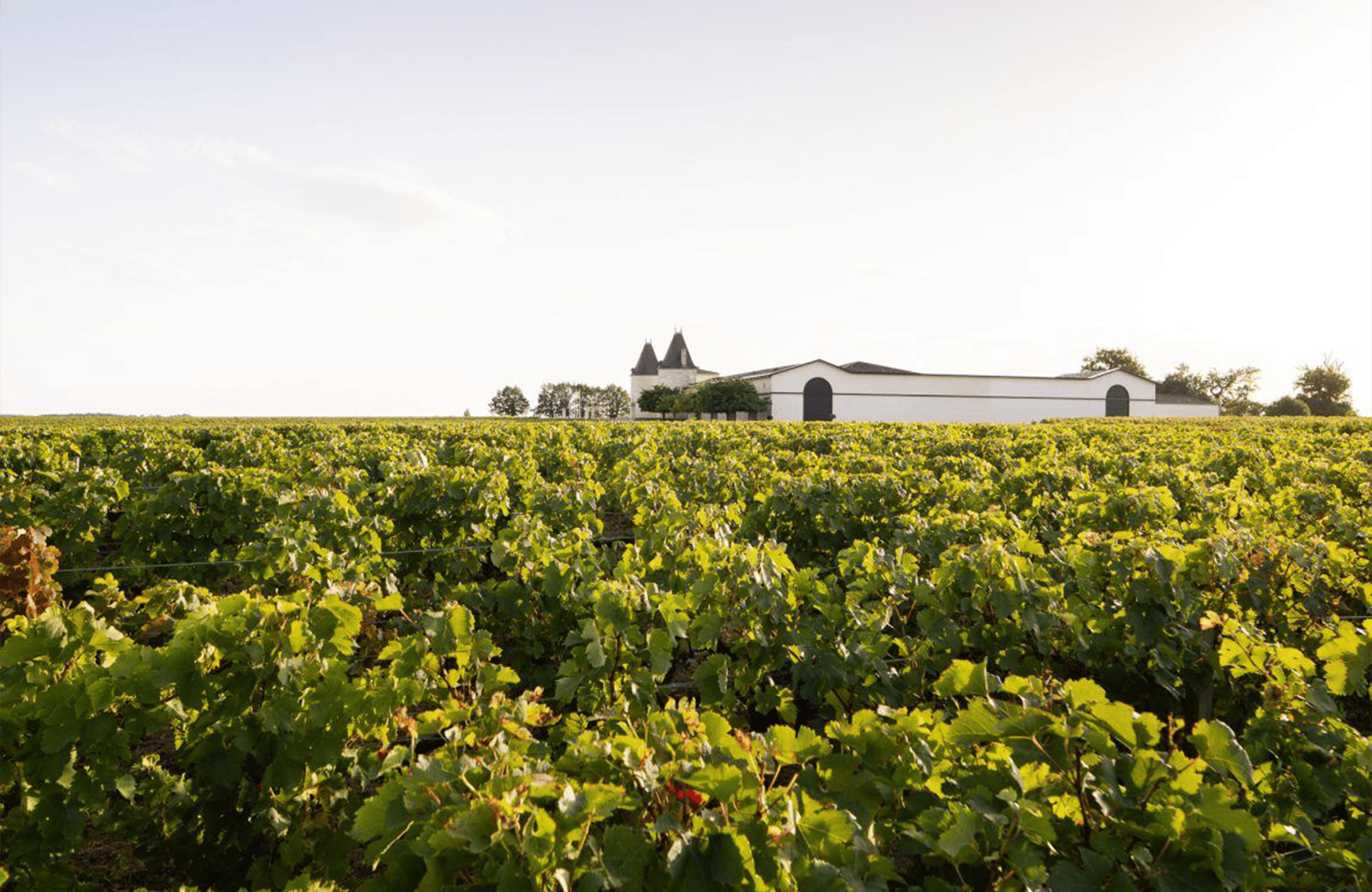 l’histoire du Château Lilian Ladouys