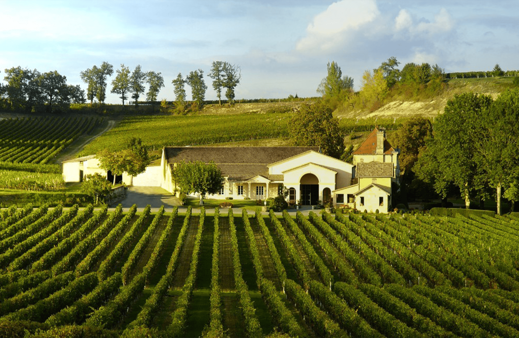 the story of Château Mango