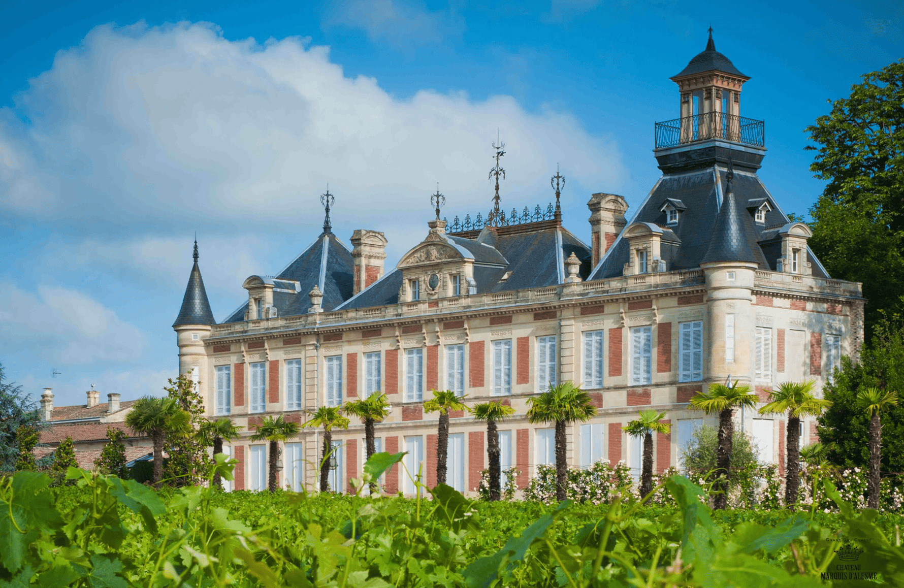 Wijnen Château Marquis d'Alesme