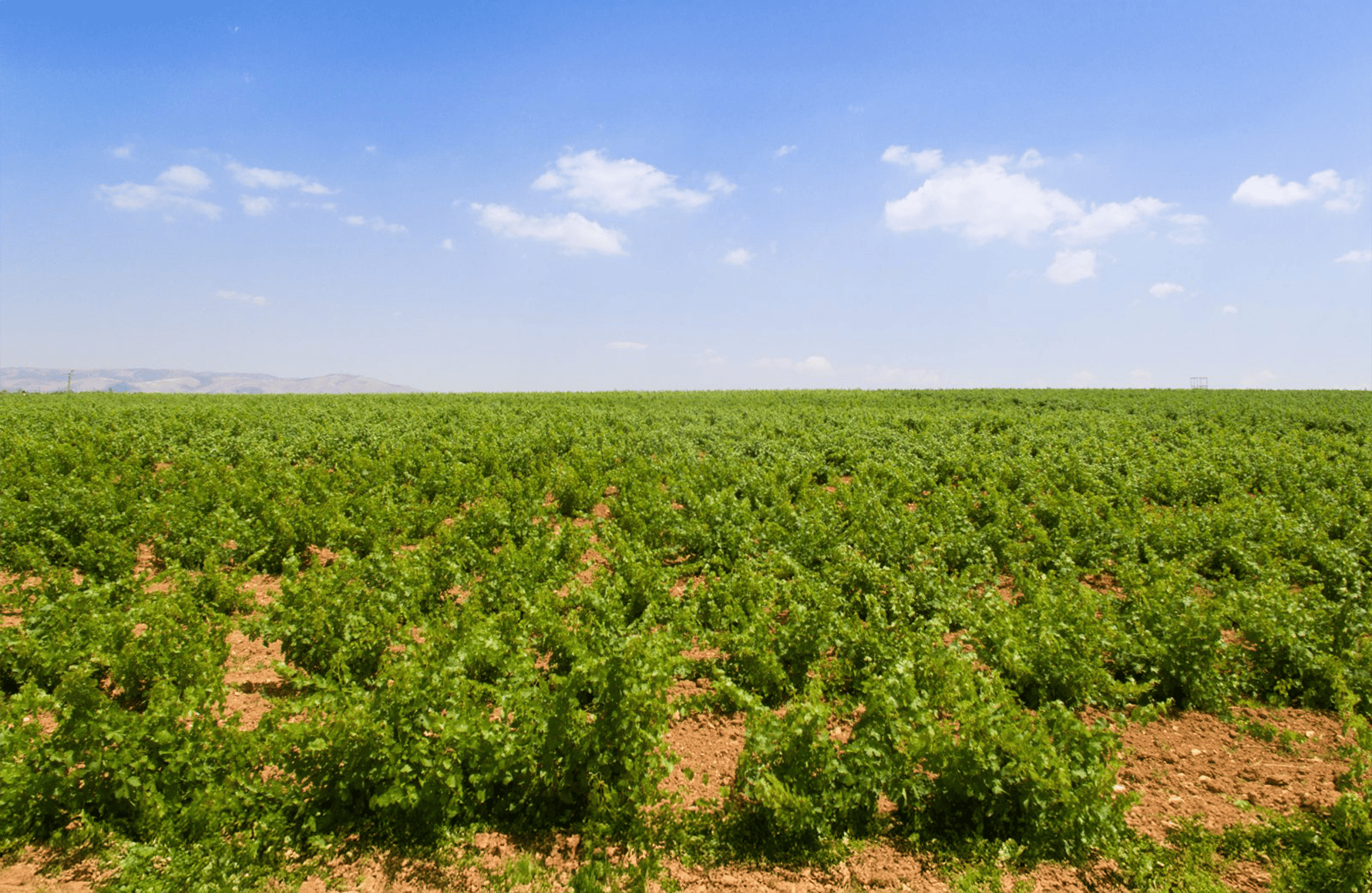 the story of Musar Castle - Lebanon