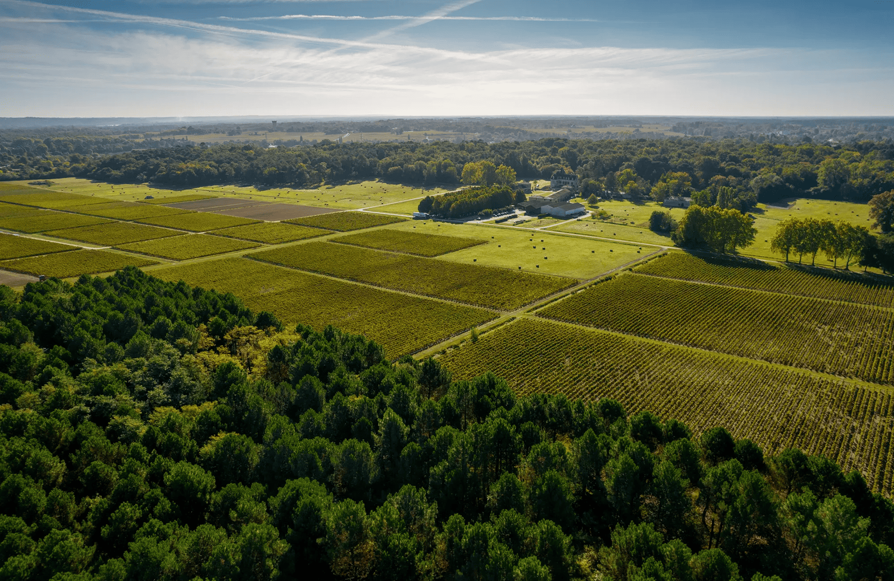 de geschiedenis van Château Olivier