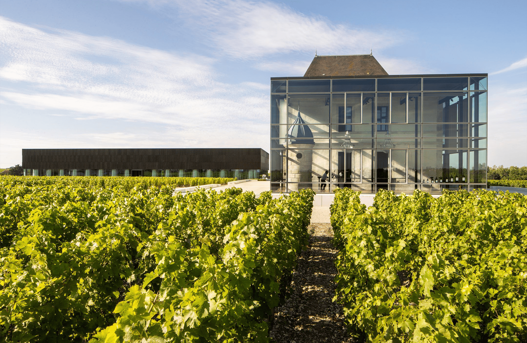 Wijnen Château Pedesclaux