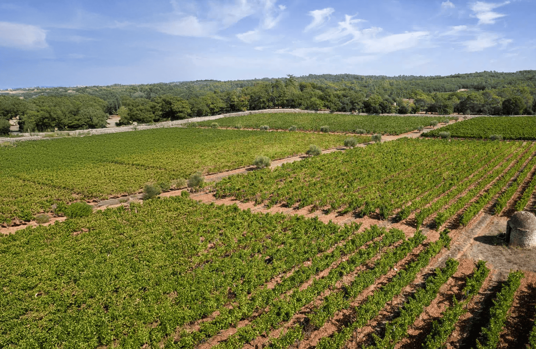 Wijnen Château Peyrassol