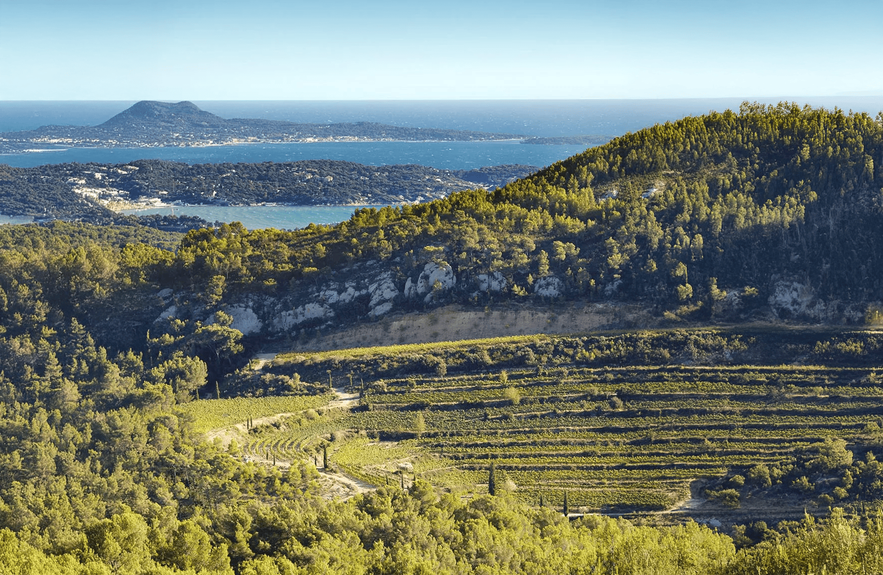 Wijnen Château door Pibarnon