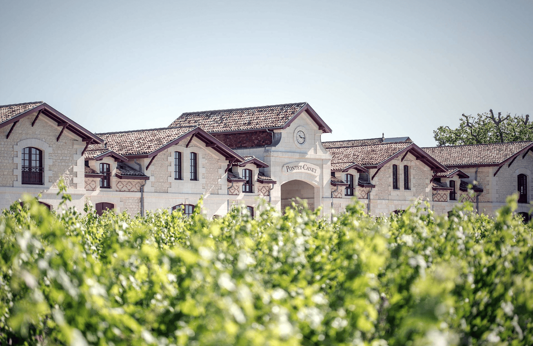 the story of Château Pontet-Canet