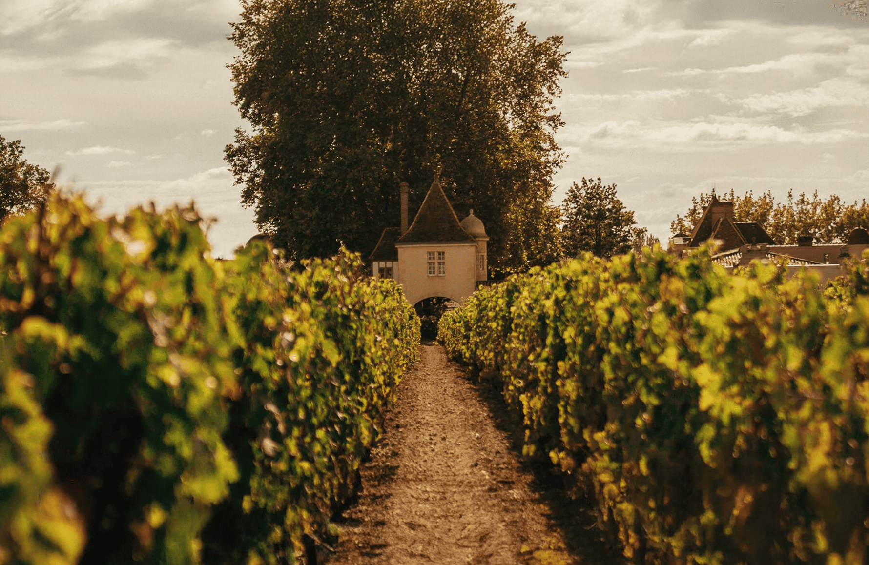 l’histoire du Château Rauzan-Ségla