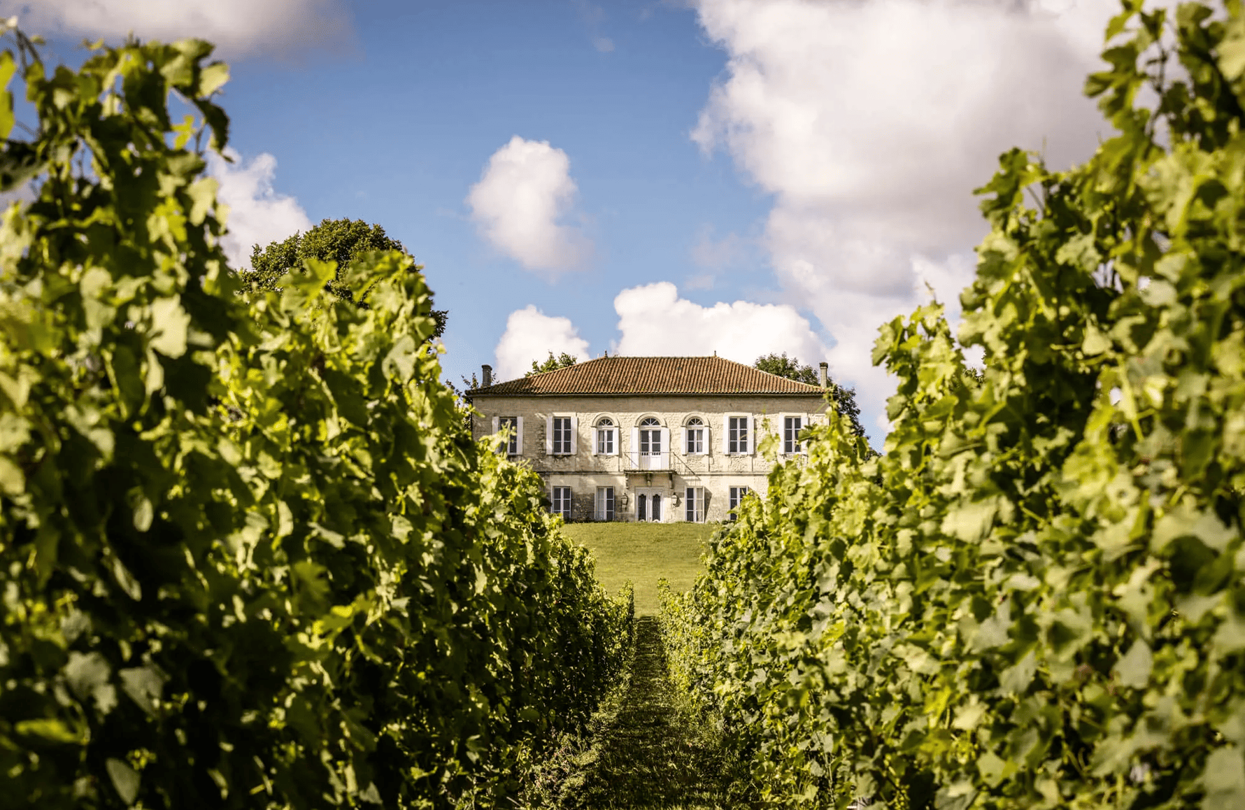 Wijnen Château Reysson