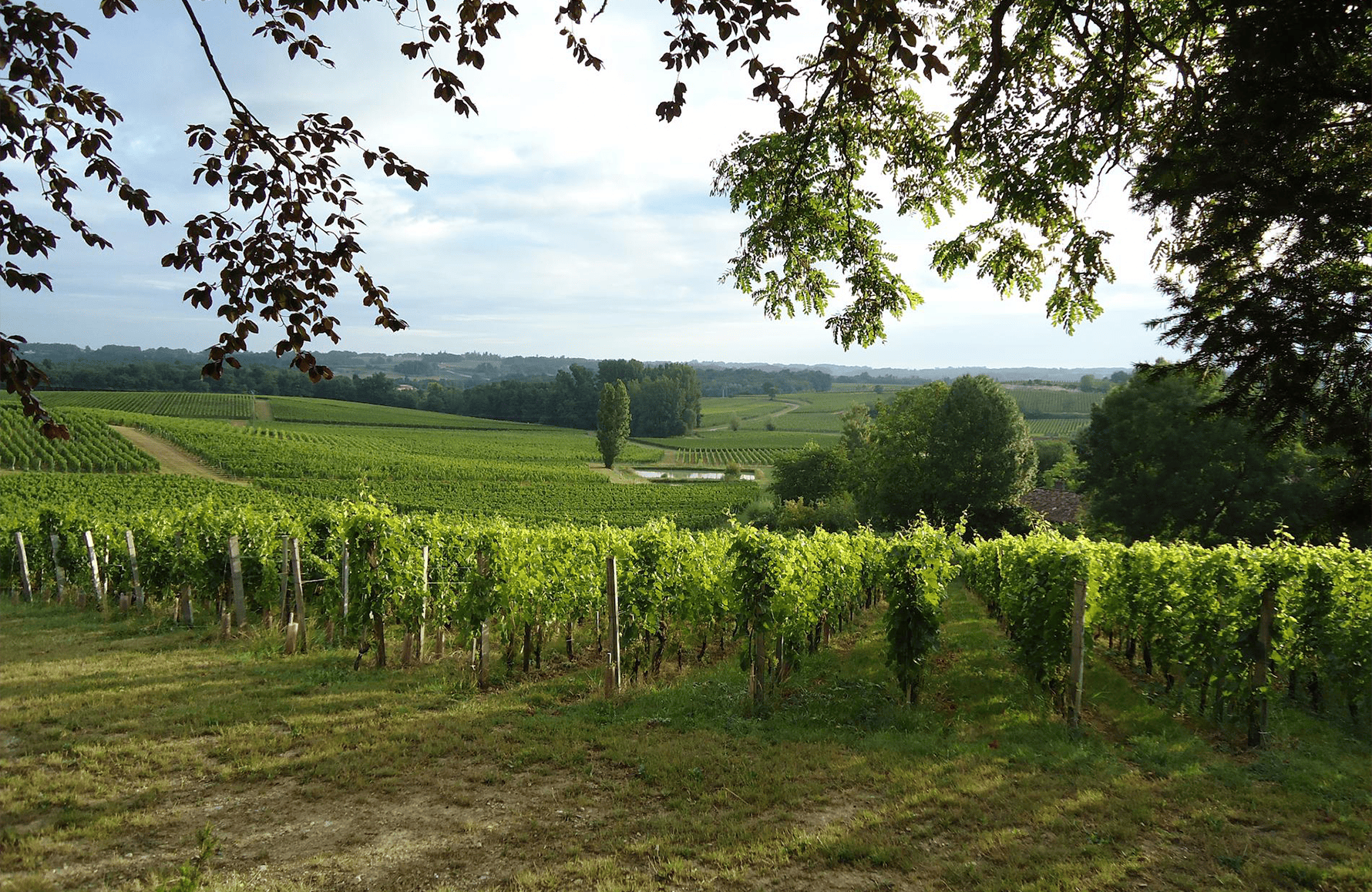 Wijnen Château Valandraud