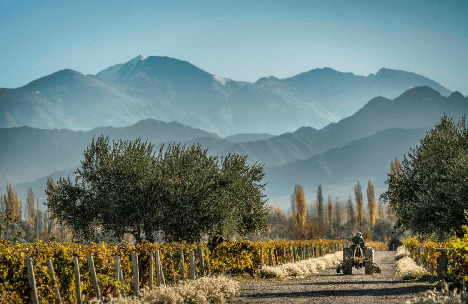 de geschiedenis van Cheval des Andes - Argentinië