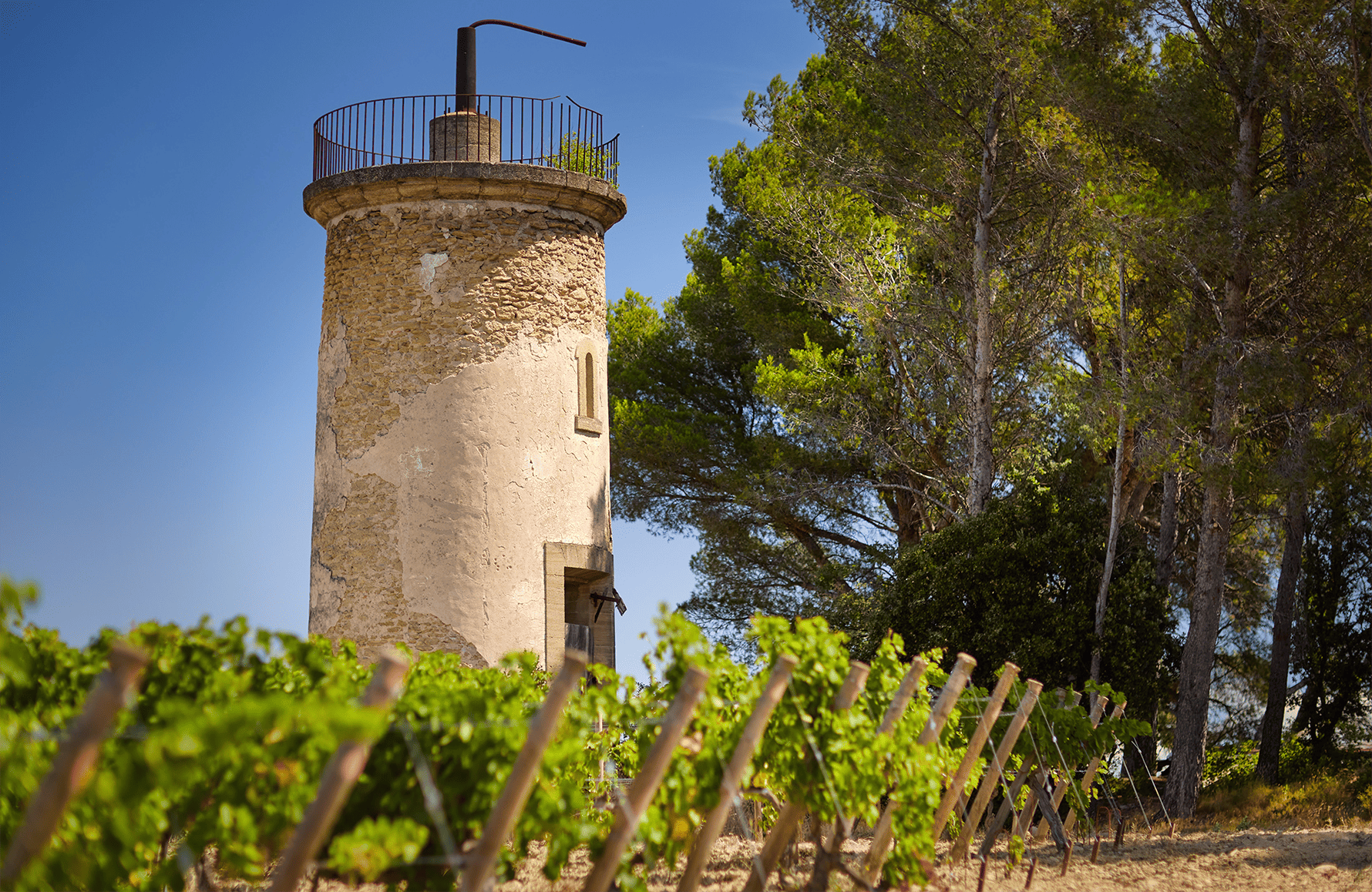 Wijnen DE Clos van de rots