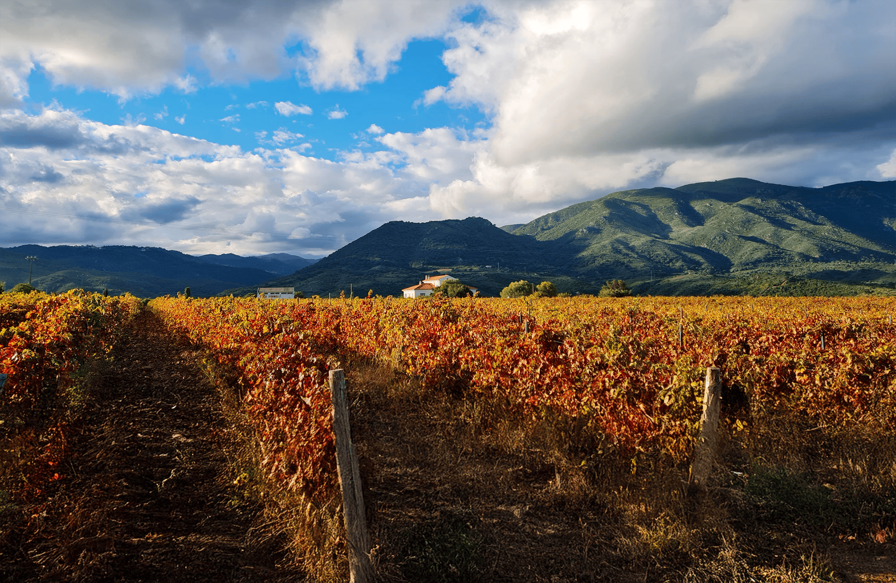 de geschiedenis van Clos Fornelli
