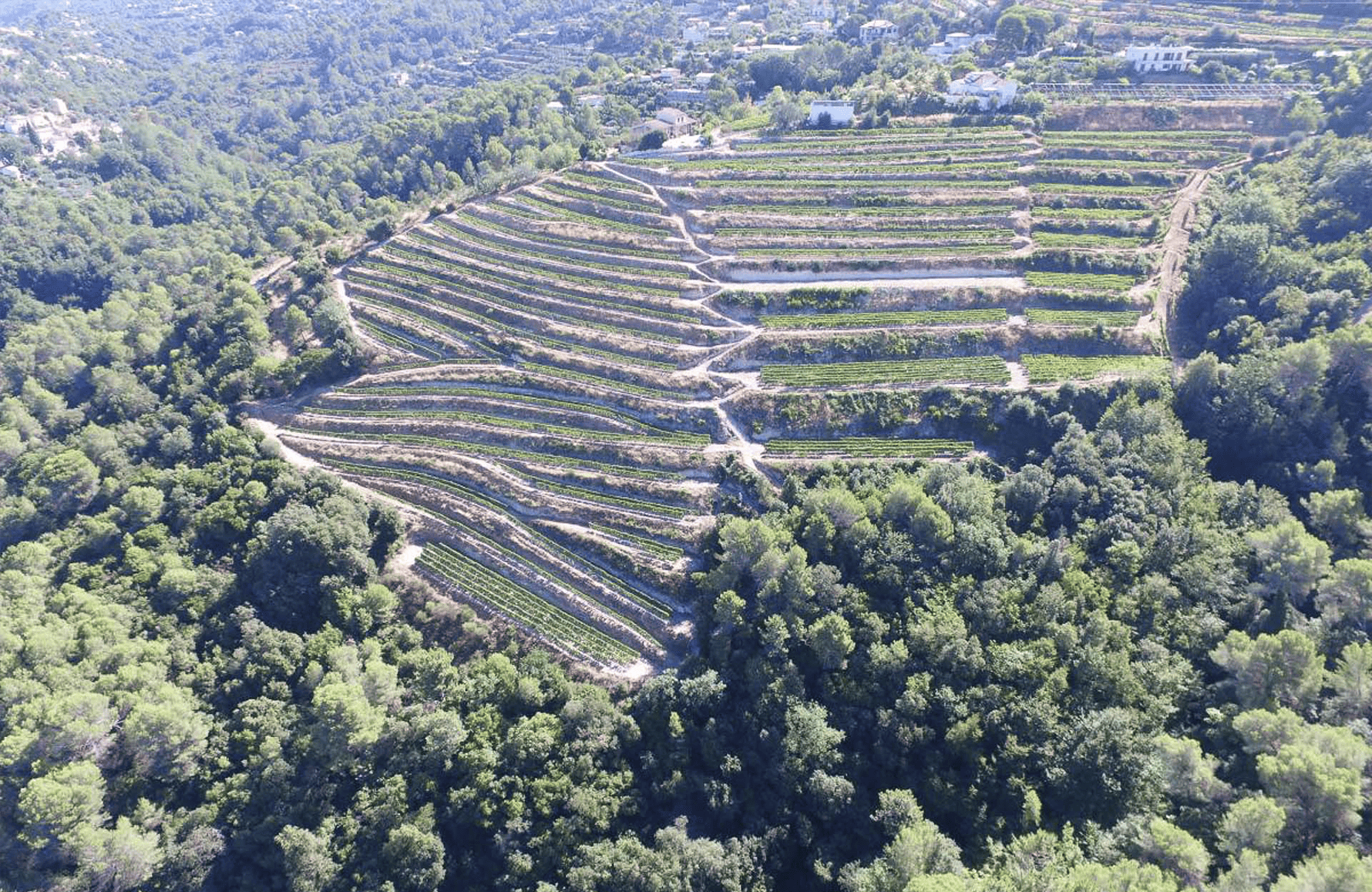 Wijnen Clos Sint Vincentius