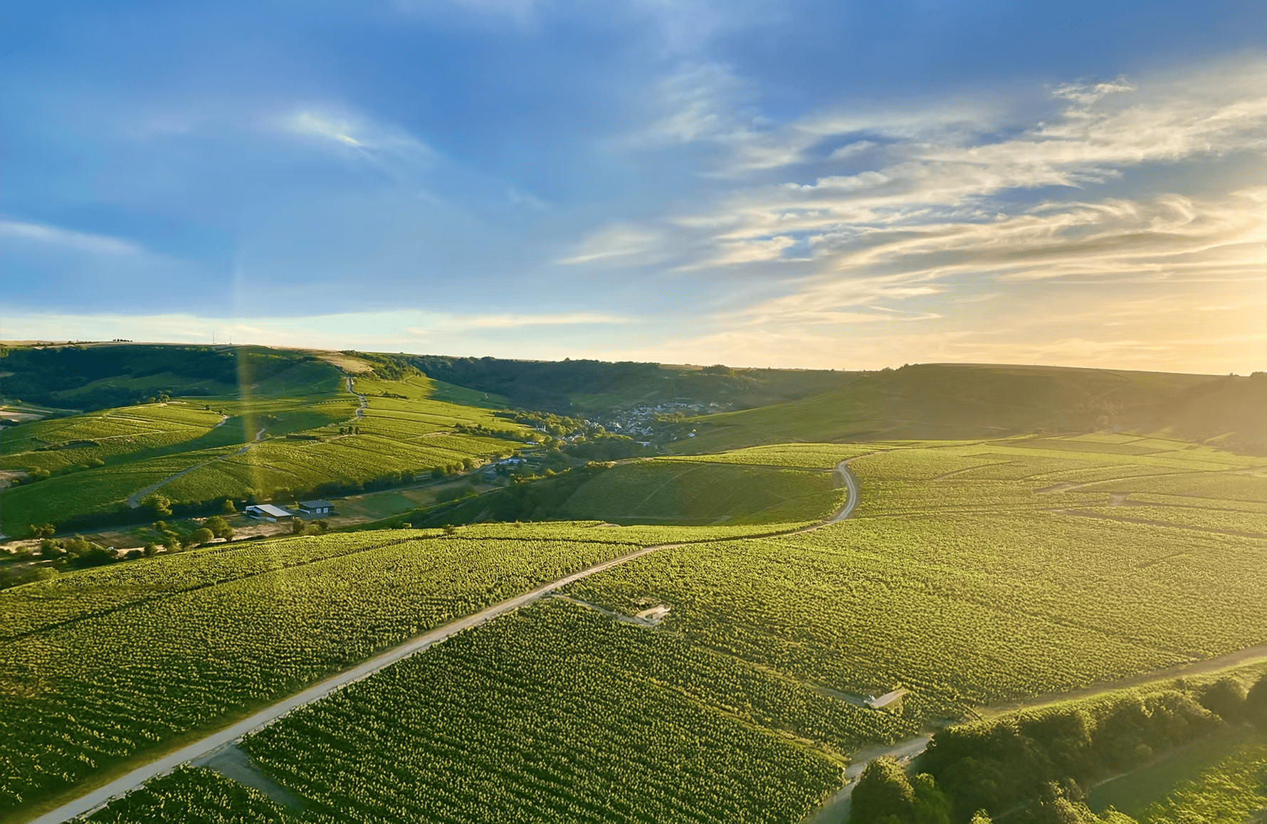 Wijnen Domaine Vincent Delaporte en Zonen