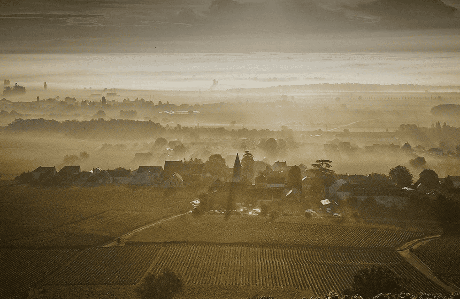 de geschiedenis van Domaine Méo-Camuzet