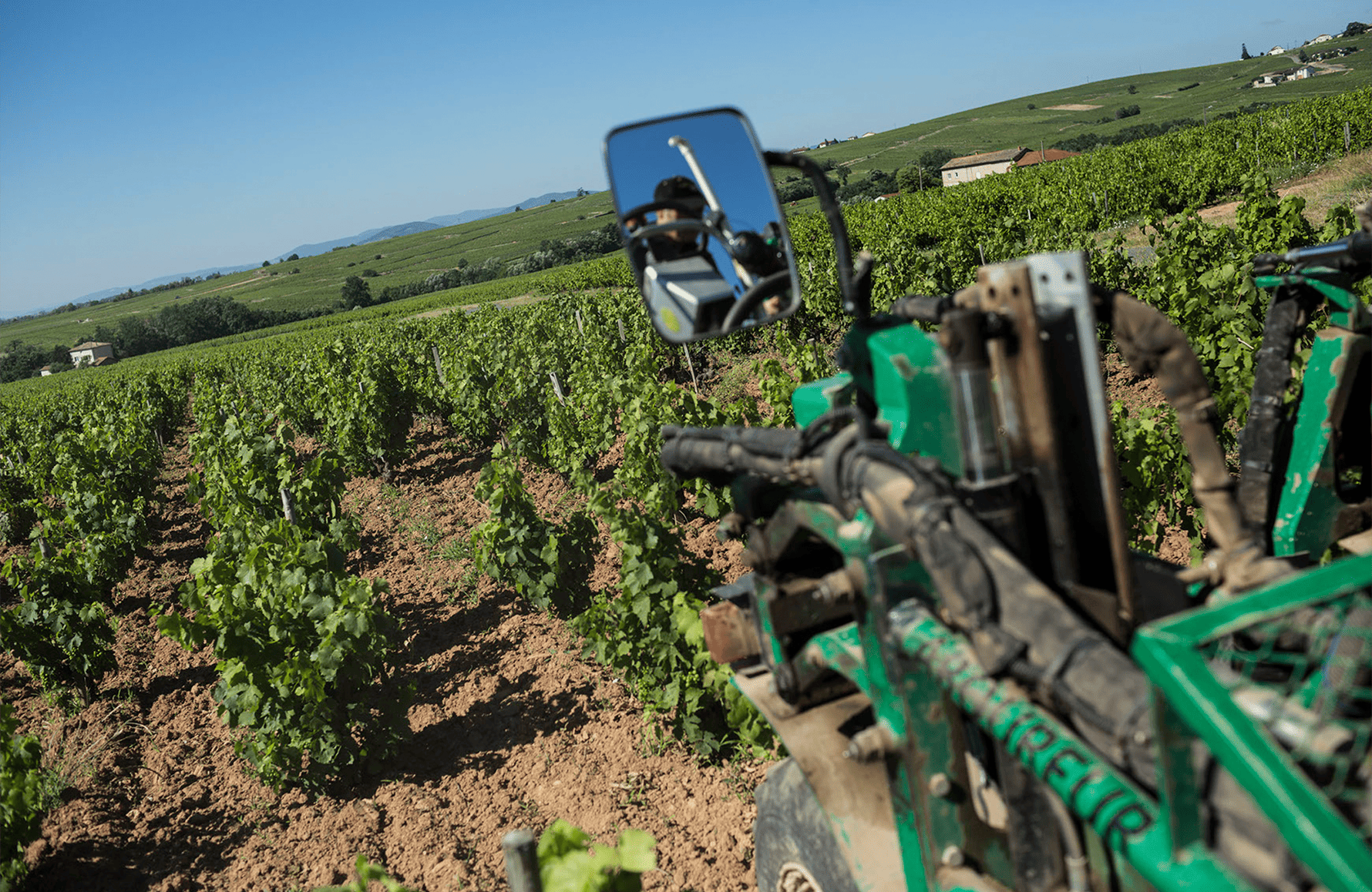 Wijnen Domaine Paul Janin en zoon