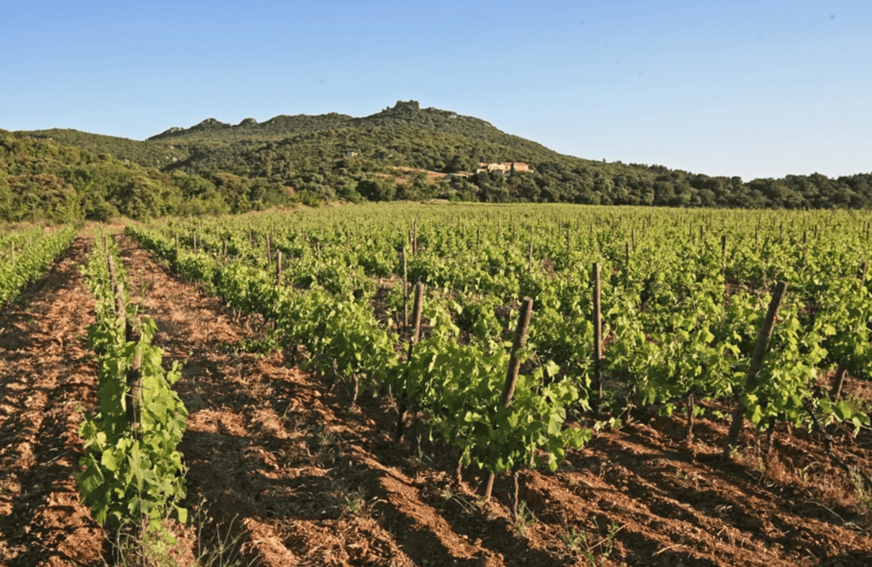 de geschiedenis van Hermitage van de Pic Saint Loup