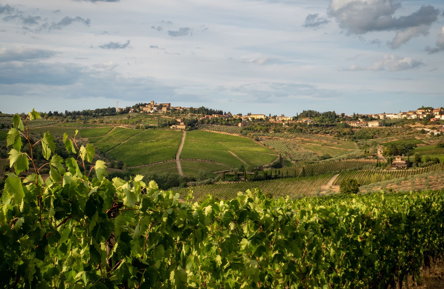Wijnen Bibi Graetz - Italië